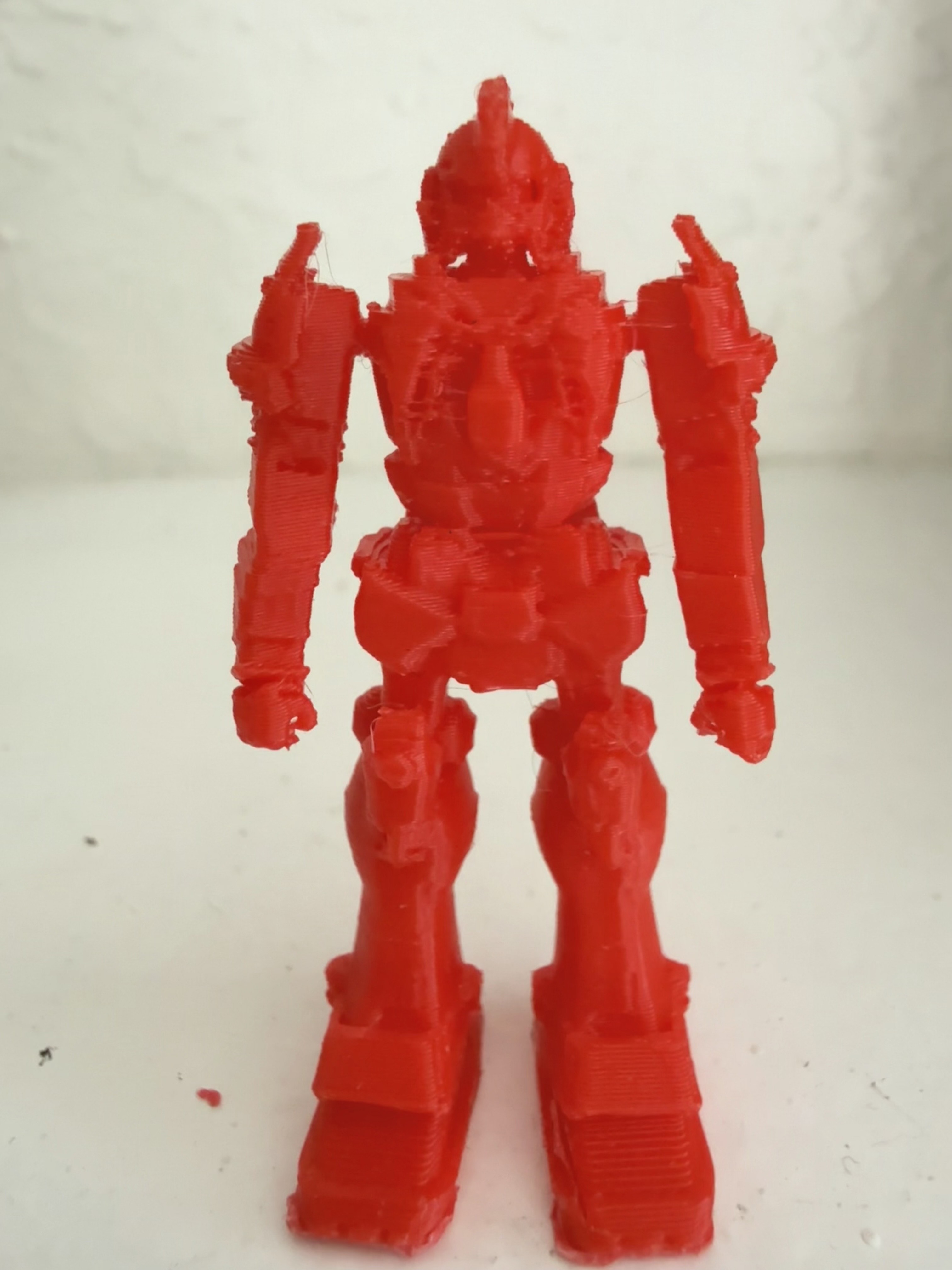 Test Print of our robot 3D Model