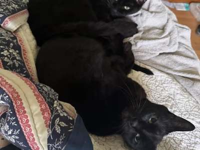 This is how I know it’s getting&nbsp;colder